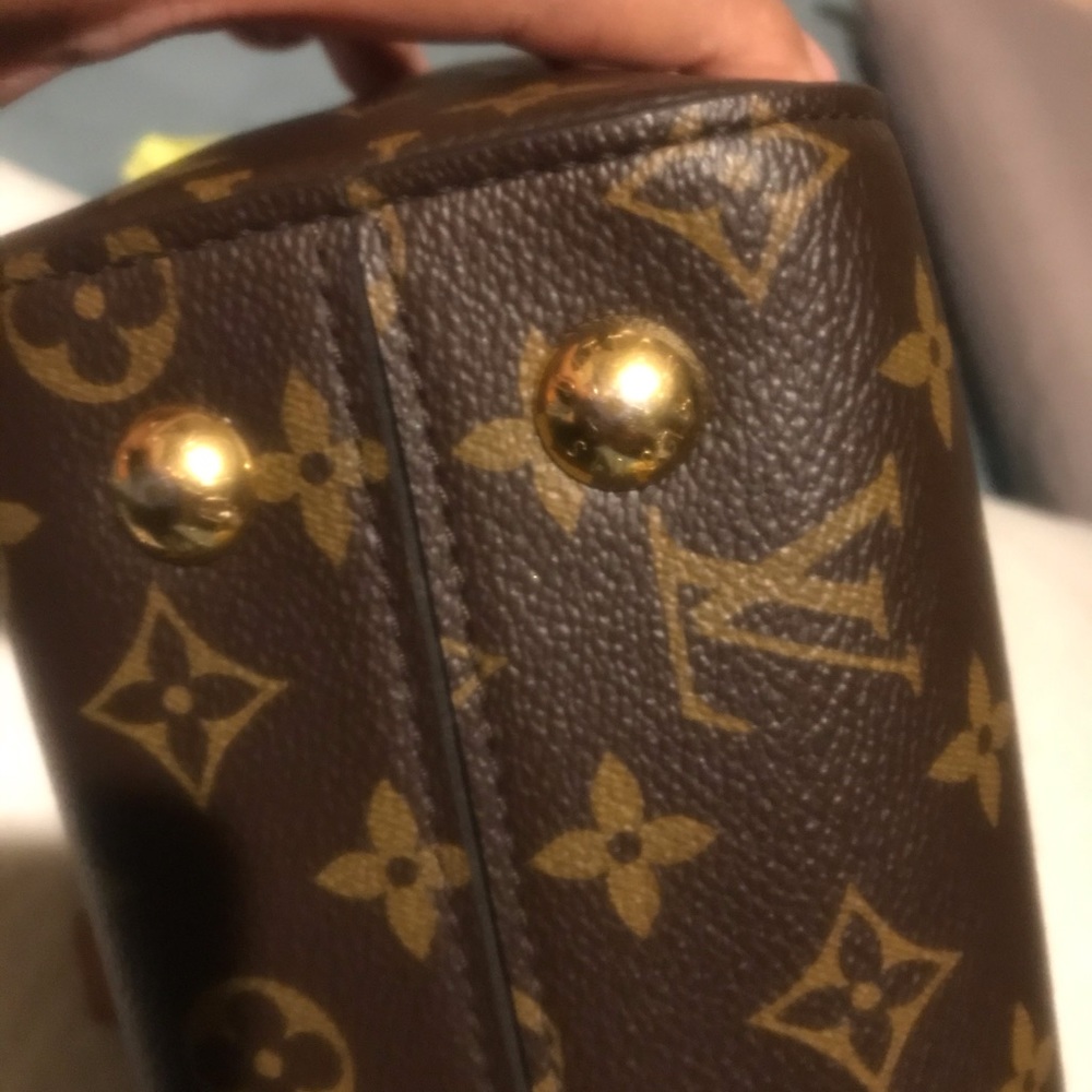 Clunny bb Sold❤️❤️ - Picture 8 of 16